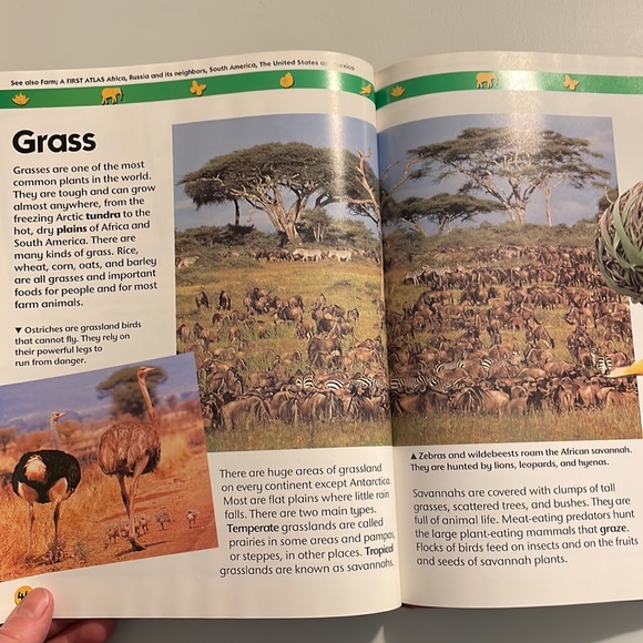 NOT ELIGIBLE FOR BUNDLE SALE  Animals and Nature:Two-Can First Encyclopedia - Picture 13 of 14